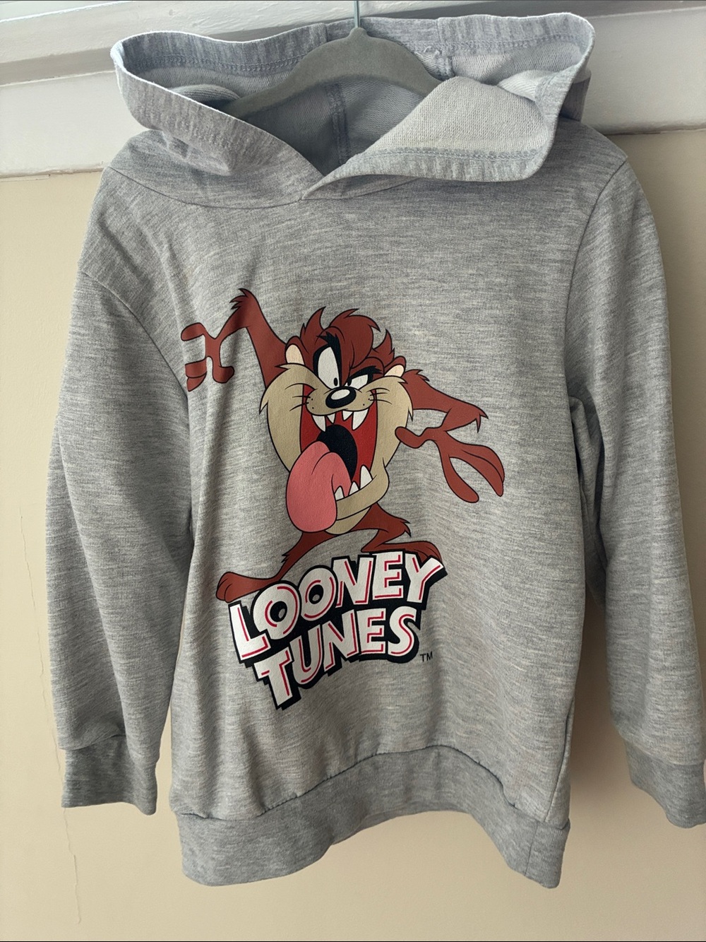 Looney Tunes Kids Grey Taz Hoodie